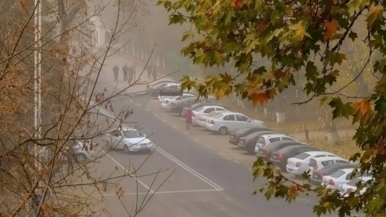 کلانشهرهای سمی؛ تهران و ۹ شهر دیگر/ نقشه جهانی آلودگی و عوامل تشدیدکننده آن