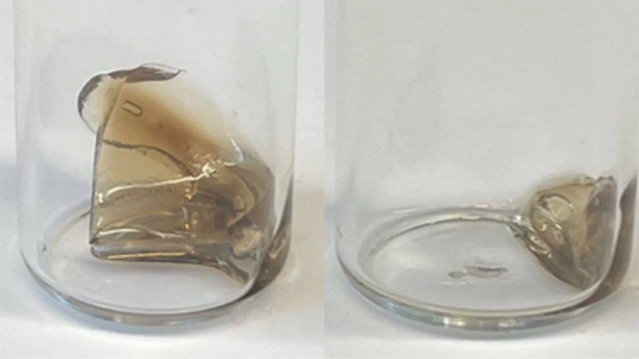 پلاستیک قابلتجزیه