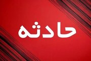 عابرپیاده از ترس سگ وارد بزرگراه شد و جان باخت