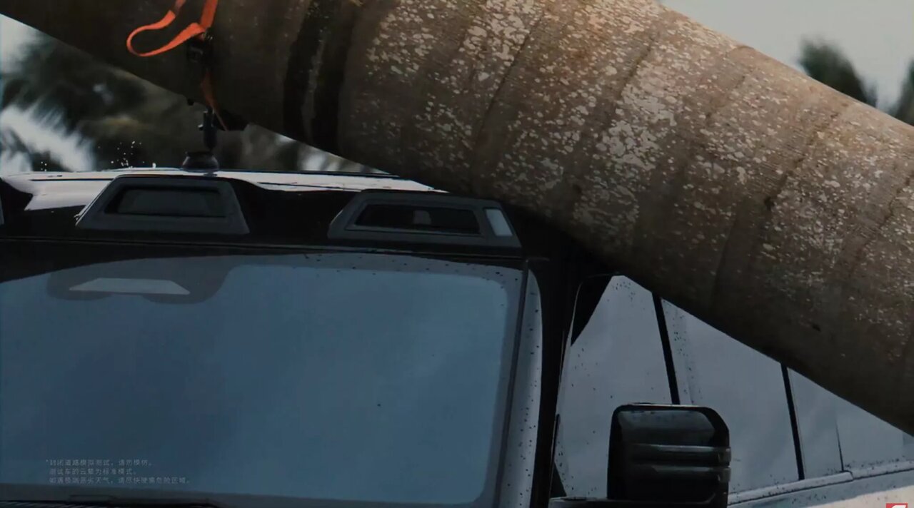 ببینید | سقوط نخل غولپیکر روی خودروی چینی / مقاومت تحسینبرانگیز