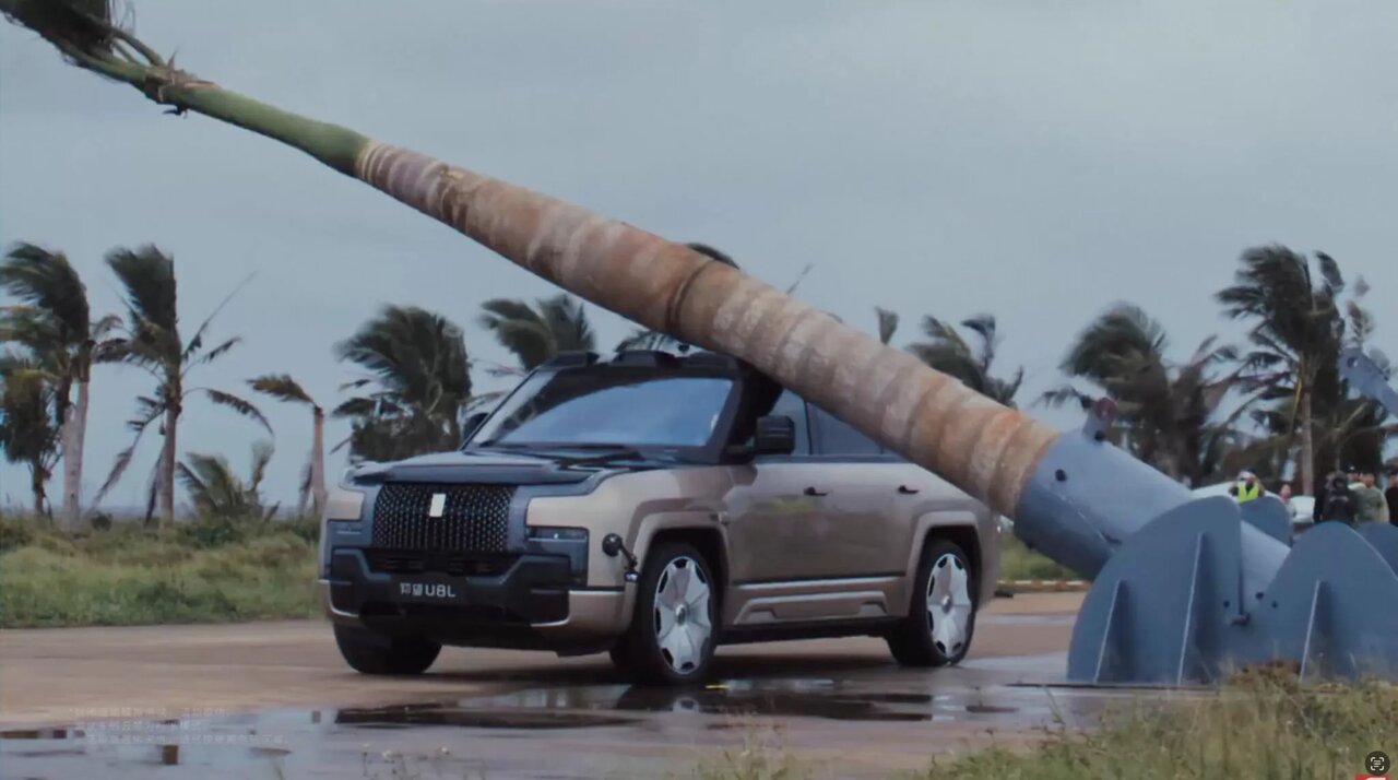 ببینید | سقوط نخل غولپیکر روی خودروی چینی / مقاومت تحسینبرانگیز