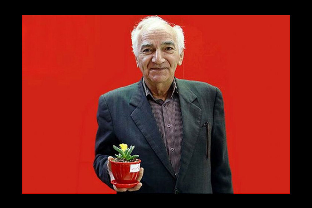 بازی بنفشهخواه در یک سریال مرتبط با جنگ ۱۲ روزه؛ افشار نقش مادر شهید را ایفا کرد. بازی بنفشهخواه در یک سریال مرتبط با جنگ ۱۲ روزه؛ افشار نقش مادر شهید را ایفا کرد.