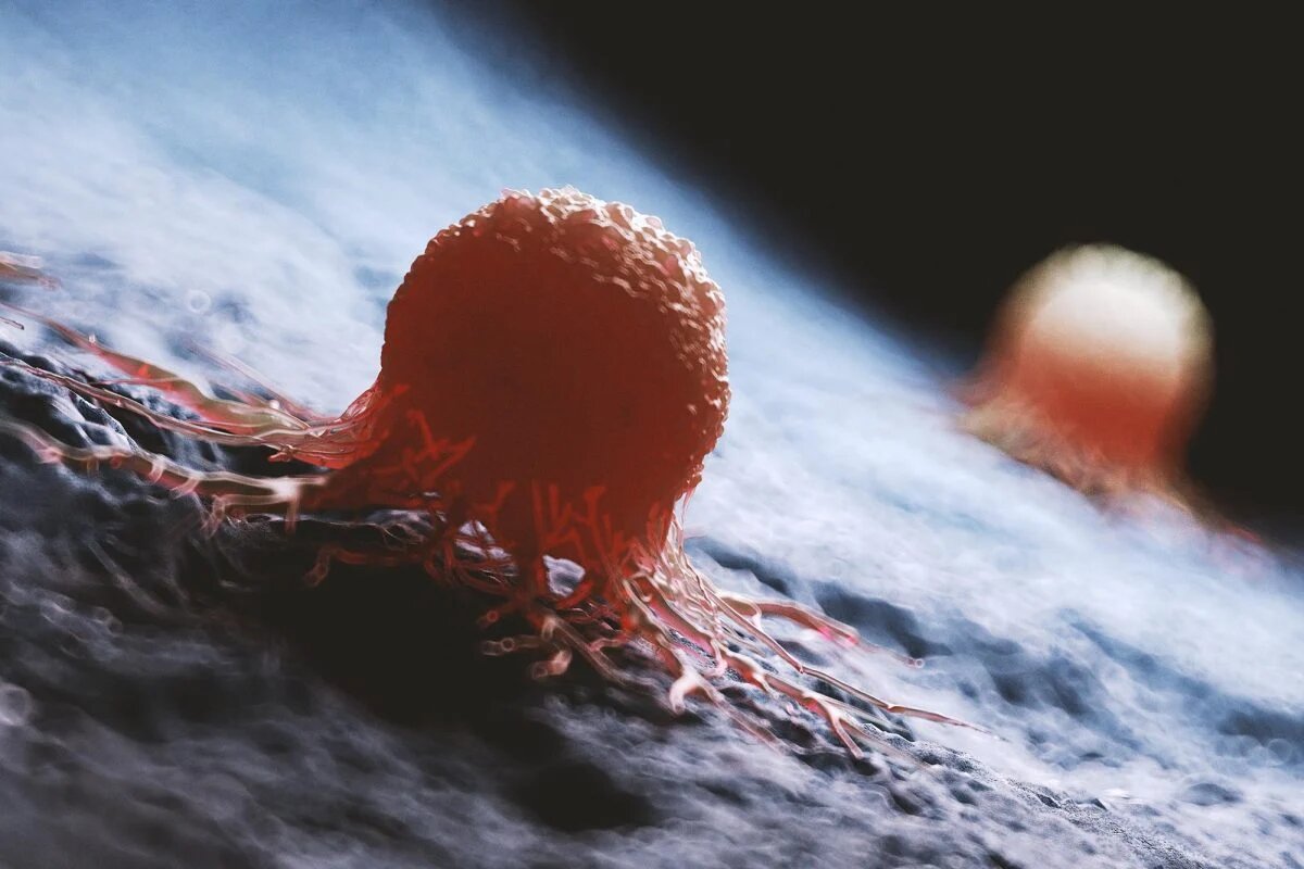 تحقیقات جدید از استفاده هوش مصنوعی در کشف راهحلهای مربوط به سرطان خبر میدهد که به حل معماهای طولانیمدت این بیماری کمک کرده است. تحقیقات جدید از استفاده هوش مصنوعی در کشف راهحلهای مربوط به سرطان خبر میدهد که به حل معماهای طولانیمدت این بیماری کمک کرده است.