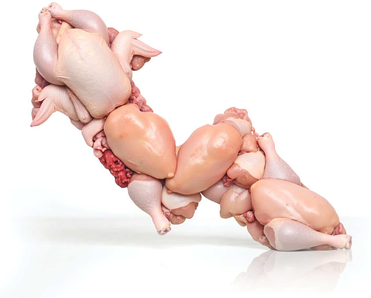 آیا قیمت مرغ دوباره افزایش خواهد یافت؟ آیا قیمت مرغ دوباره افزایش خواهد یافت؟