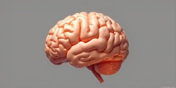 سخن پیامبر(ص) که در دانشگاه برگن نروژ ثابت شد!