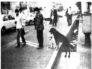 ۵۰ سال پیش سگ‌های خانگی تهران چه وضعی داشتند؟ + عکس