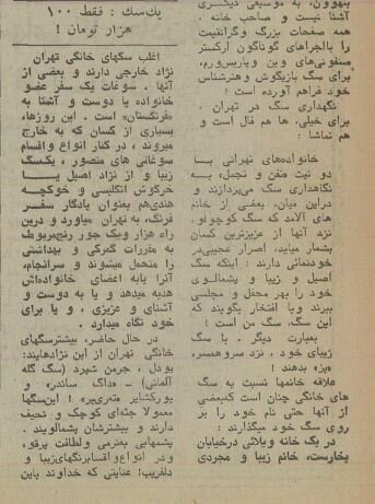 ۵۰ سال پیش سگ‌های خانگی تهران چه وضعی داشتند؟ + عکس