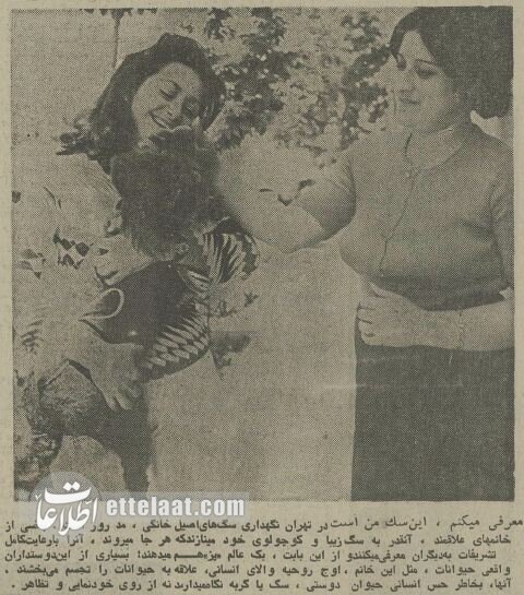 ۵۰ سال پیش سگ‌های خانگی تهران چه وضعی داشتند؟ + عکس