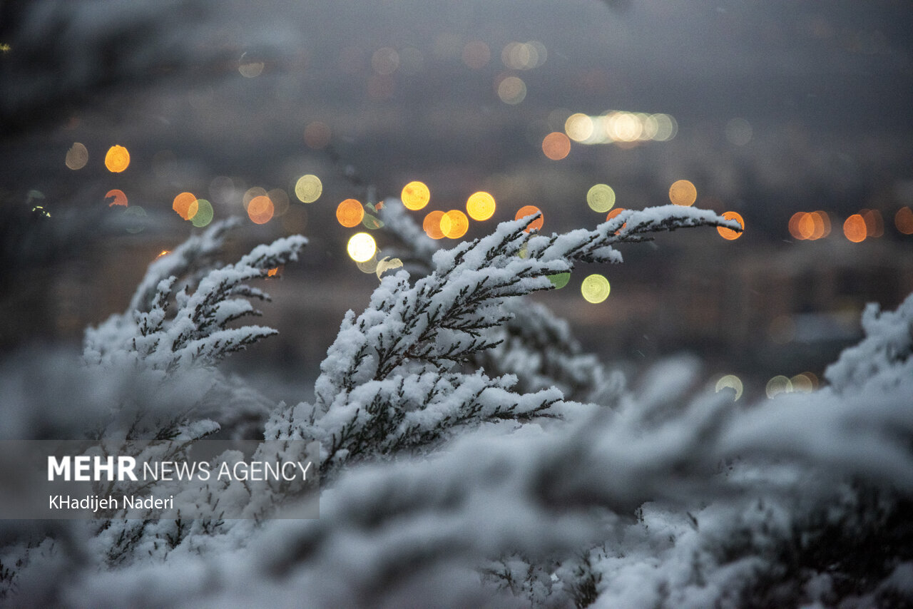 توضیحات رئیس مرکز ملی پیشبینی درباره برف ۲-۳ متری، سردچال قطبی و بارش ۶۰ سانتیمتر برف در تهران/ «بارشها ادامه دارد، اما نه آنطور که میگویند»