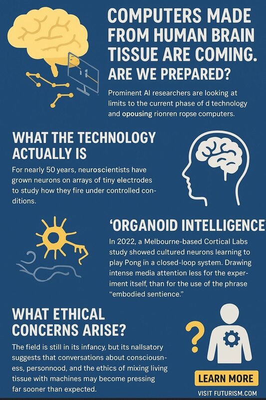 کامپیوترهای ساخته‌شده از مغز انسان در راهند