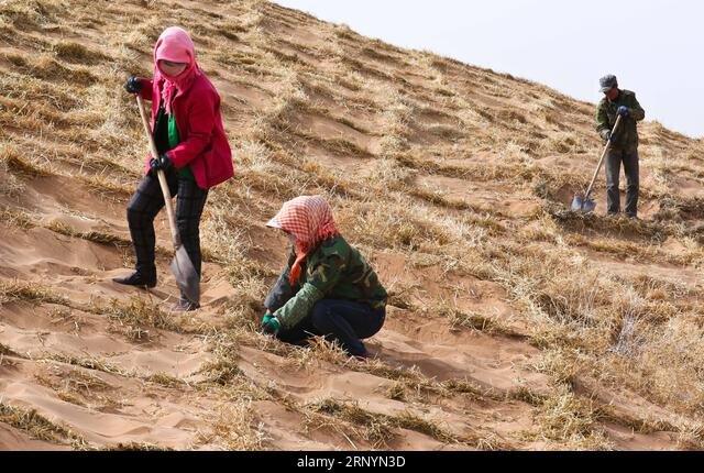 «فیزیکِ فولاد» به نجاتِ «بیابان» می‌آید؛ فرمول فراموش‌ شده‌ای که می‌تواند بدون آب و برق، گلویِ کانون‌های ریزگرد خوزستان را بفشارد