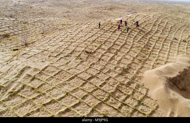 «فیزیکِ فولاد» به نجاتِ «بیابان» می‌آید؛ فرمول فراموش‌ شده‌ای که می‌تواند بدون آب و برق، گلویِ کانون‌های ریزگرد خوزستان را بفشارد