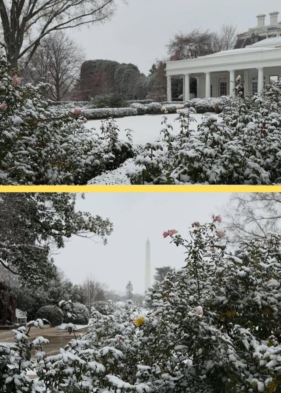 عکس‌های کریسمسی تیفانی ترامپ و همسرش در کاخ سفید