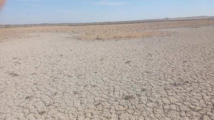 تالاب بندعلیخان خشک شد