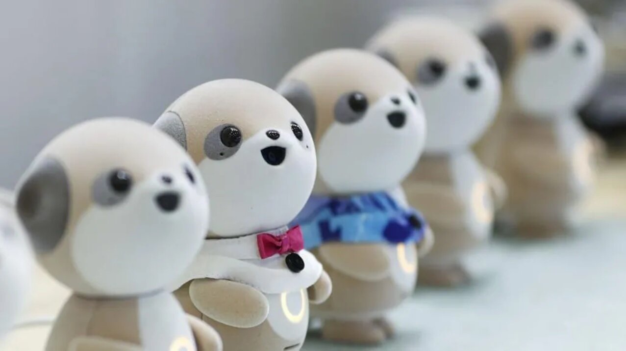 بحران زوال عقل در ژاپن / رباتها به داد انسانهای سرگردان میرسند