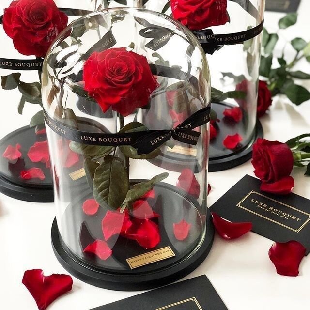 قیمت گل در روز مادر چند برابر شد؟ + جدول قیمت