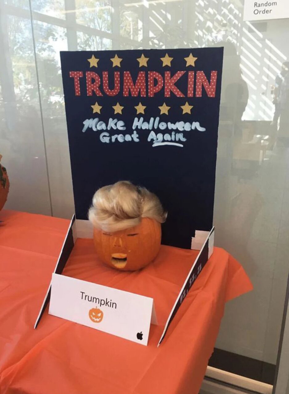 دموکراتها عکسهای جدیدی از ترامپ در املاک دلال جنسی منتشر کردند؛ از وودی آلن تا کلینتون و از بیل گیتس تا نوام چامسکی و بنن/ عکس