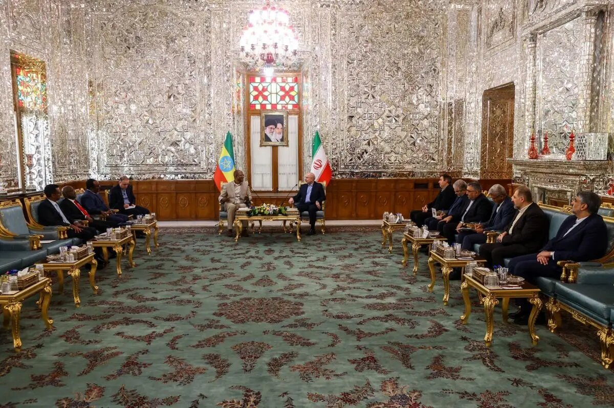 تصویری از دیدار قالیباف با رییس مجلس اتیوپی