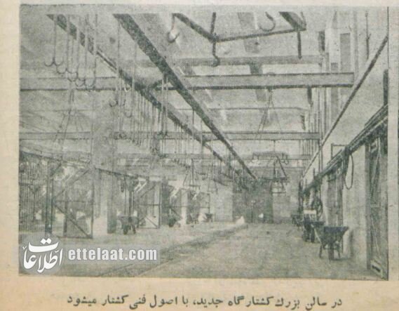 کشتارگاه تهران ۷۰ ساله شد! + عکسهای تاریخی از مکانی که وجود ندارد