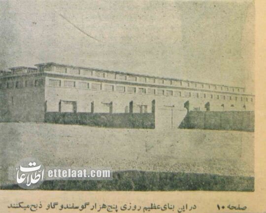 کشتارگاه تهران ۷۰ ساله شد! + عکسهای تاریخی از مکانی که وجود ندارد