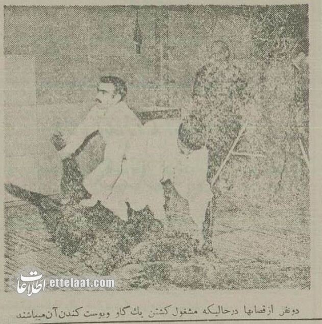 کشتارگاه تهران ۷۰ ساله شد! + عکسهای تاریخی از مکانی که وجود ندارد