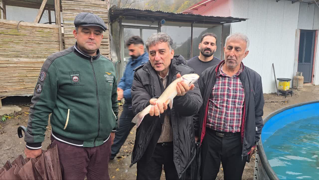 فرماندار رودسر :