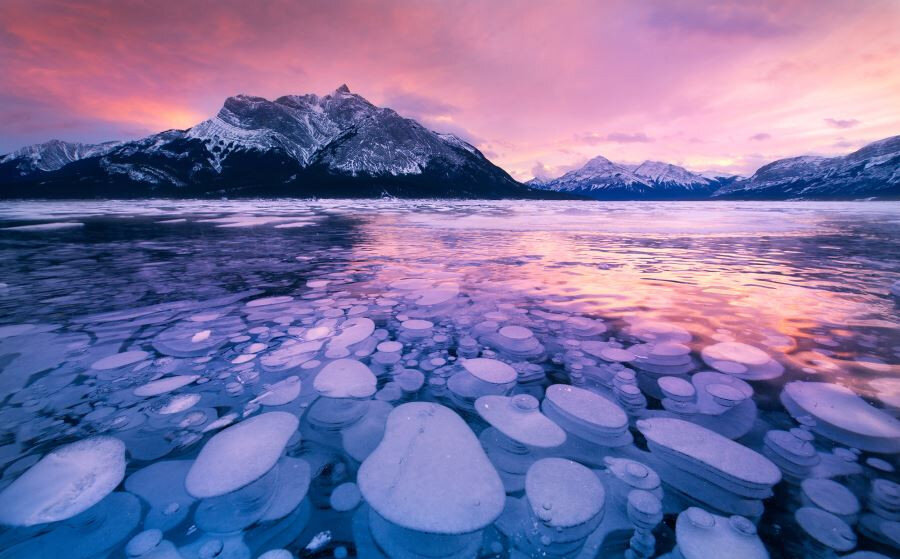 ببینید | غرق شدن اتوبوس گردشگران چینی