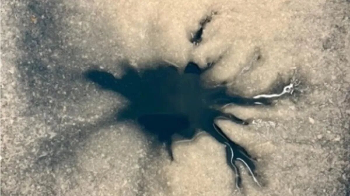 عنکبوتی غول‌پیکر روی مشتری دیده شد/ معمای ۳۰ ساله