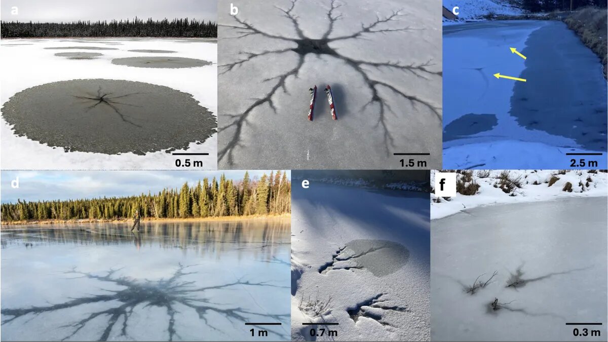 عنکبوتی غول‌پیکر روی مشتری دیده شد/ معمای ۳۰ ساله
