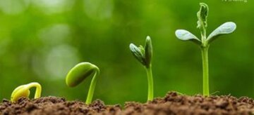 چرا قرآن جوانی را دوران طلایی می‌داند؟