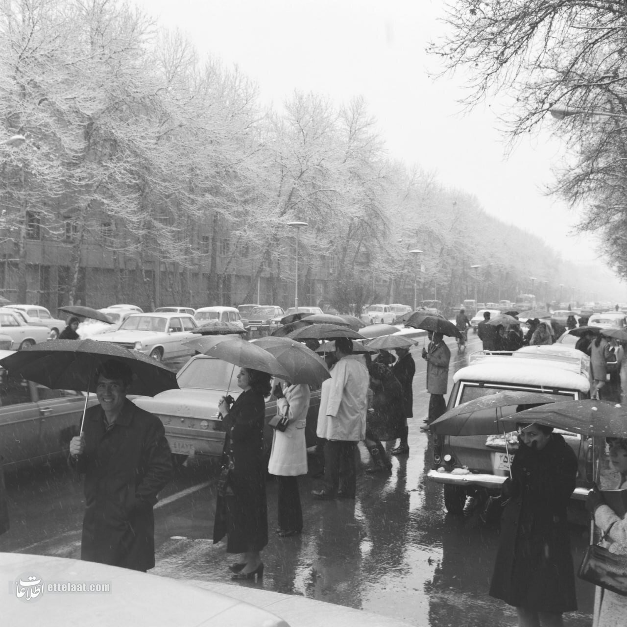 عکس‌های خاطره انگیز از اولین برف تهران در سال ۱۳۴۴