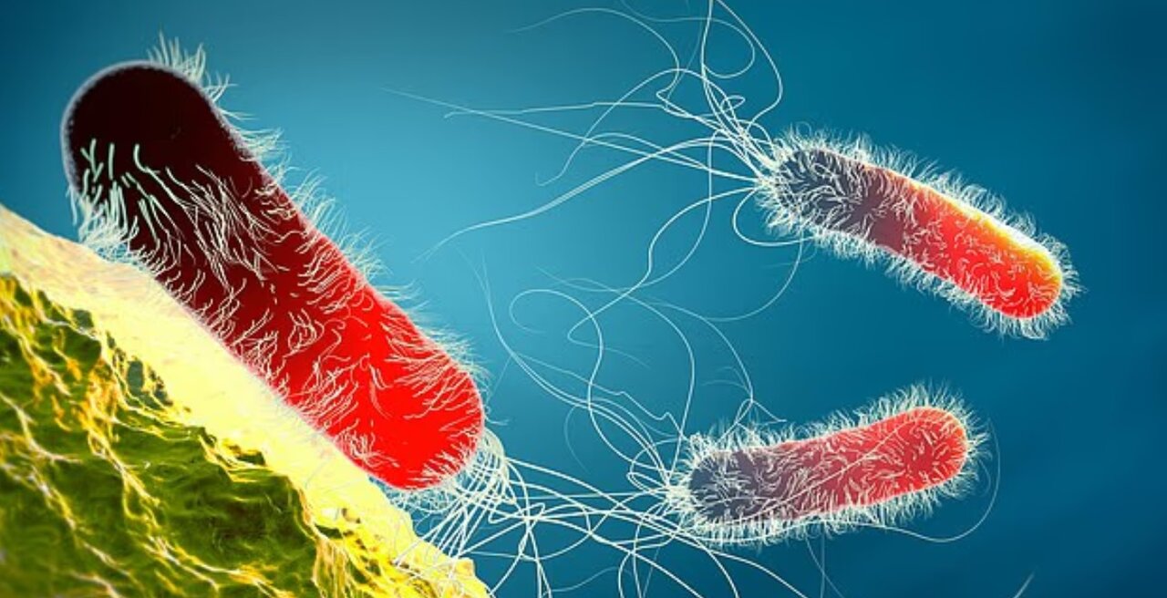 چرا آنفلوآنزا گاهی کشنده می‌شود؟