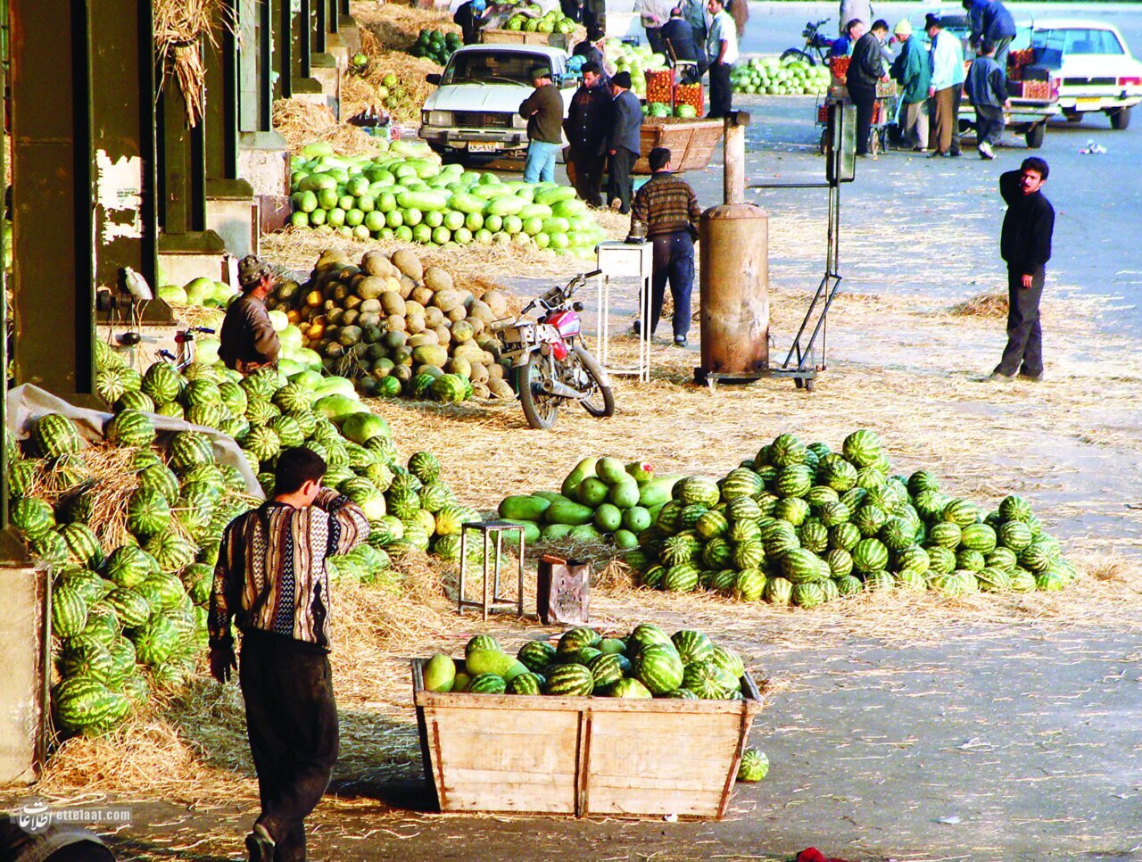 هندوانه شب یلدا کیلیویی ۱۵ تا تک تومانی؛ ۱۳۷۴+ عکس