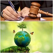 لرستان  پیشتاز در صدور آرای سبز قضایی در حوزه حفاظت محیط زیست