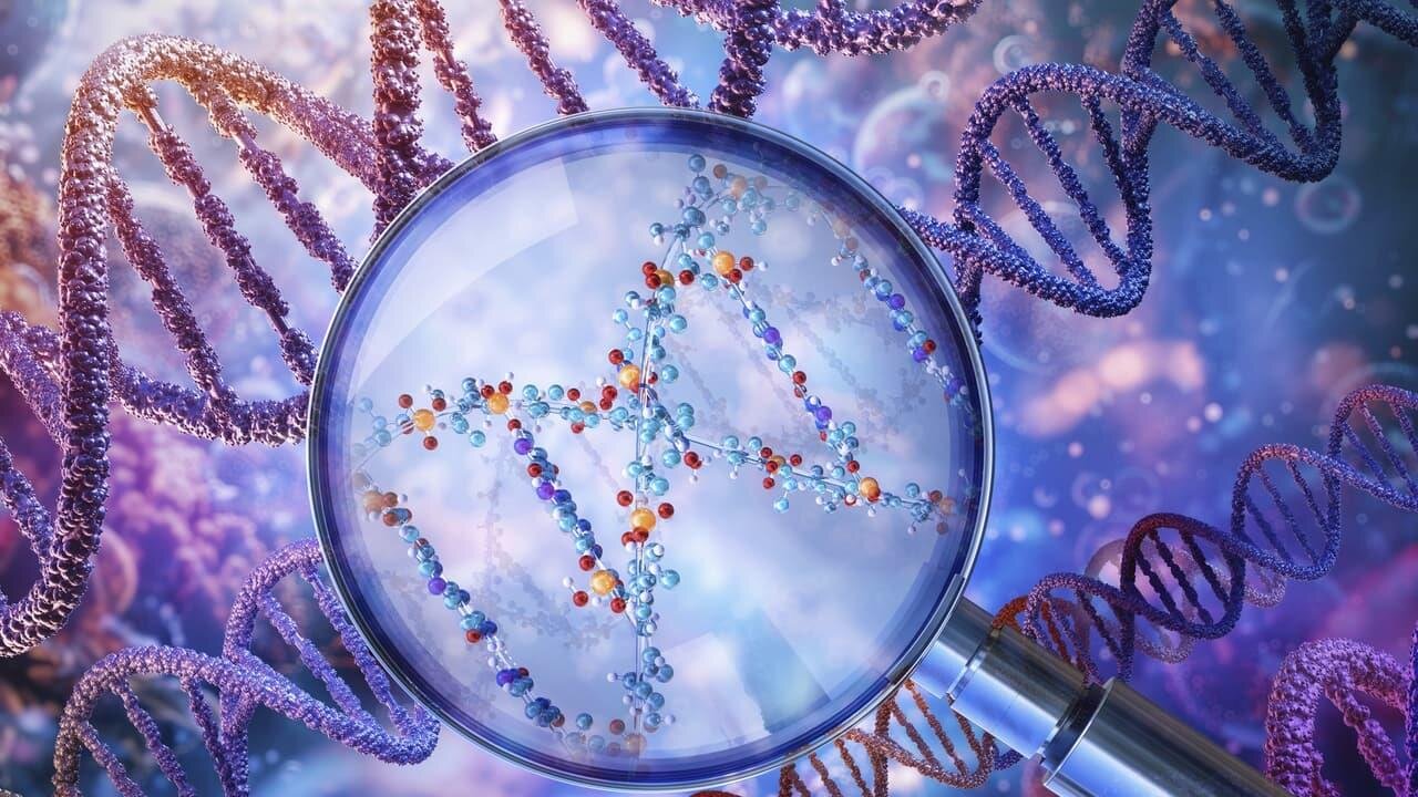 راز عمر ۱۰۰ ساله انسان‌های قدیم فاش شد /  عمر طولانی، یک ارث باستانی است؟