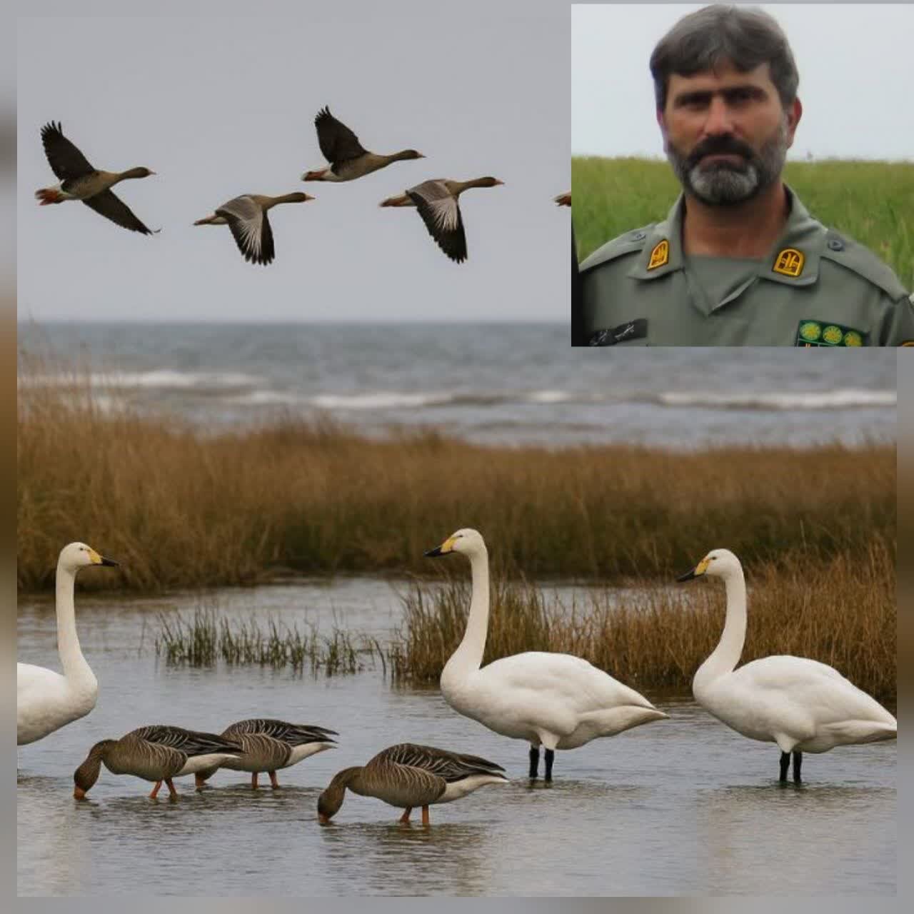 سرپرست اداره پارک ملی خشکی–دریایی بوجاق: سرپرست اداره پارک ملی خشکی–دریایی بوجاق: