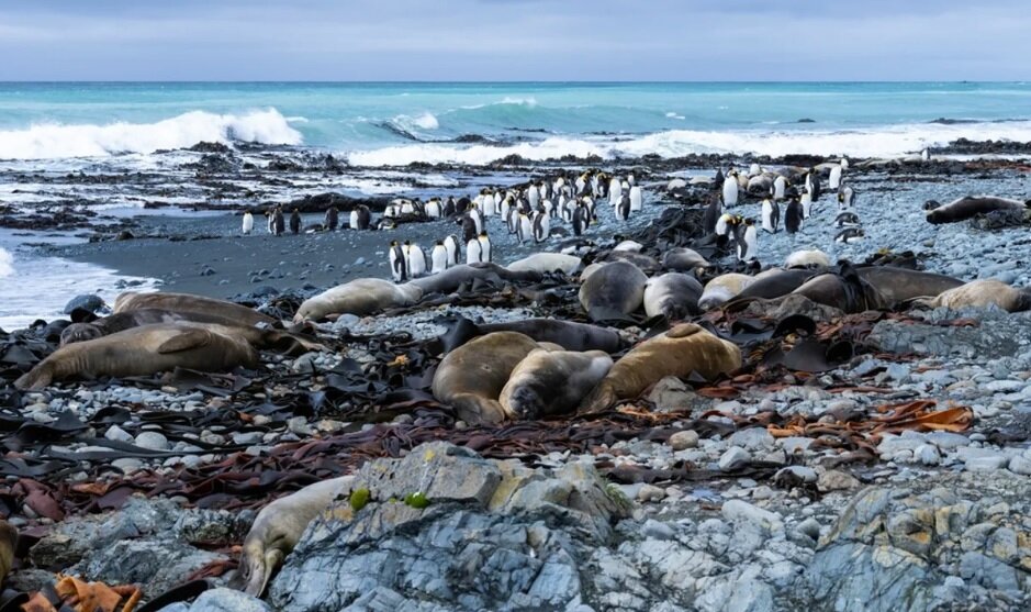 سفر به مرکز زمین بدون حفاری و از دو نقطه خاص!