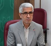 شوراها نقش مستقیم در زندگی روزمره مردم دارند