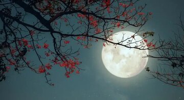 زمستان، بهار مؤمن: چگونه شب‌های سرد، دل را گرم عبادت می‌کند