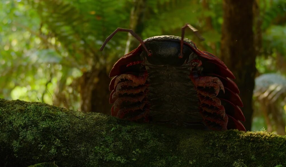 هزارپای غولپیکر ۳ متری / کابوس جنگل به اندازه یک خودرو