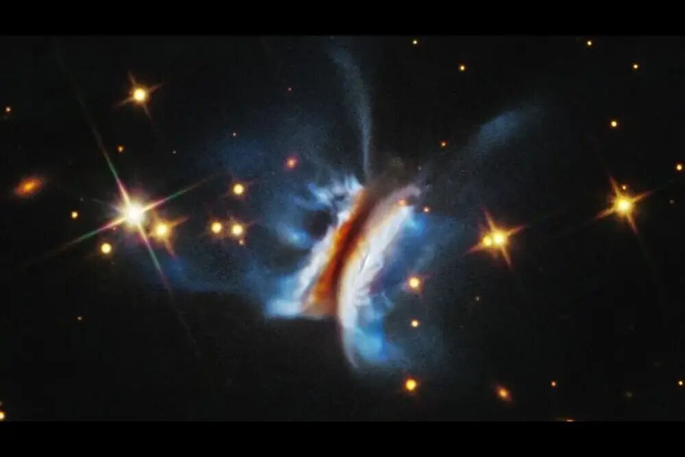 این «ساندویچ دراکولا» است