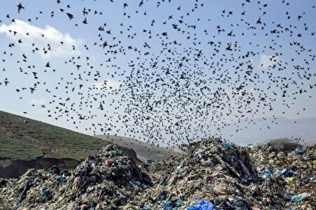 ببینید | پشت پرده بوی نامطبوع جنوب تهران چیست؟