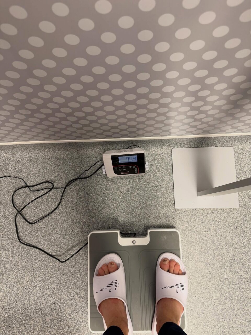 عکس | شوخی هالند با سختگیری گواردیولا؛ خیالت از من راحت باشد!