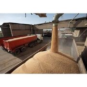 ورود کشتی سه‌هزارتنی گندم به بندر نوشهر