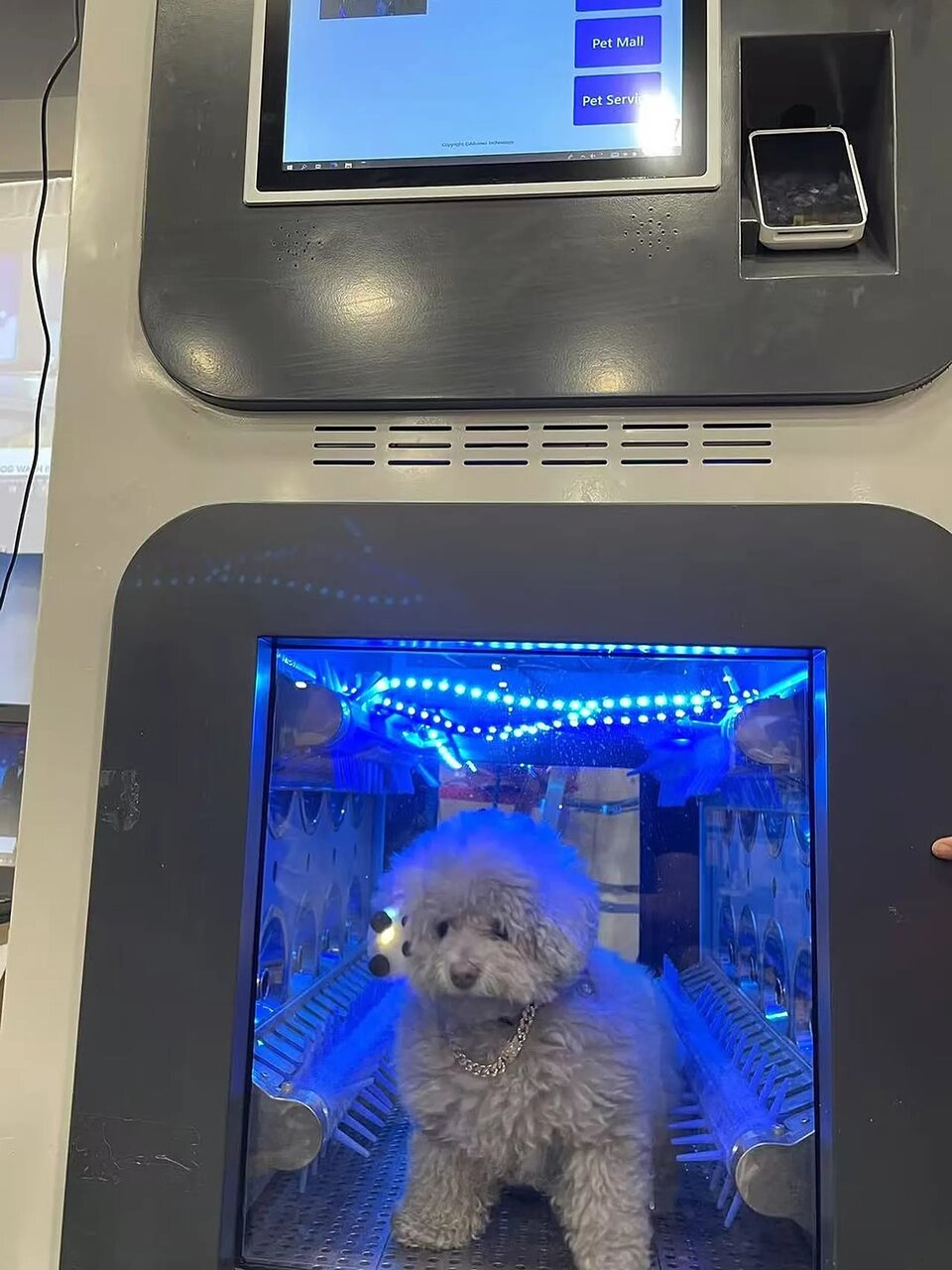 از ربات پشمالوی خجالتی تا  قاب گوشی که مثل پوست انسان آفتاب‌سوخته می‌شود/ عجیب‌ترین فناوری‌های سال ۲۰۲۵