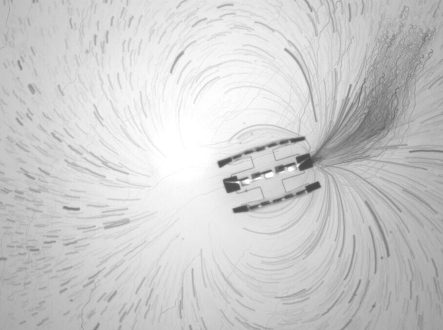 ساخت رباتی که از یک دانه نمک کوچکتر است