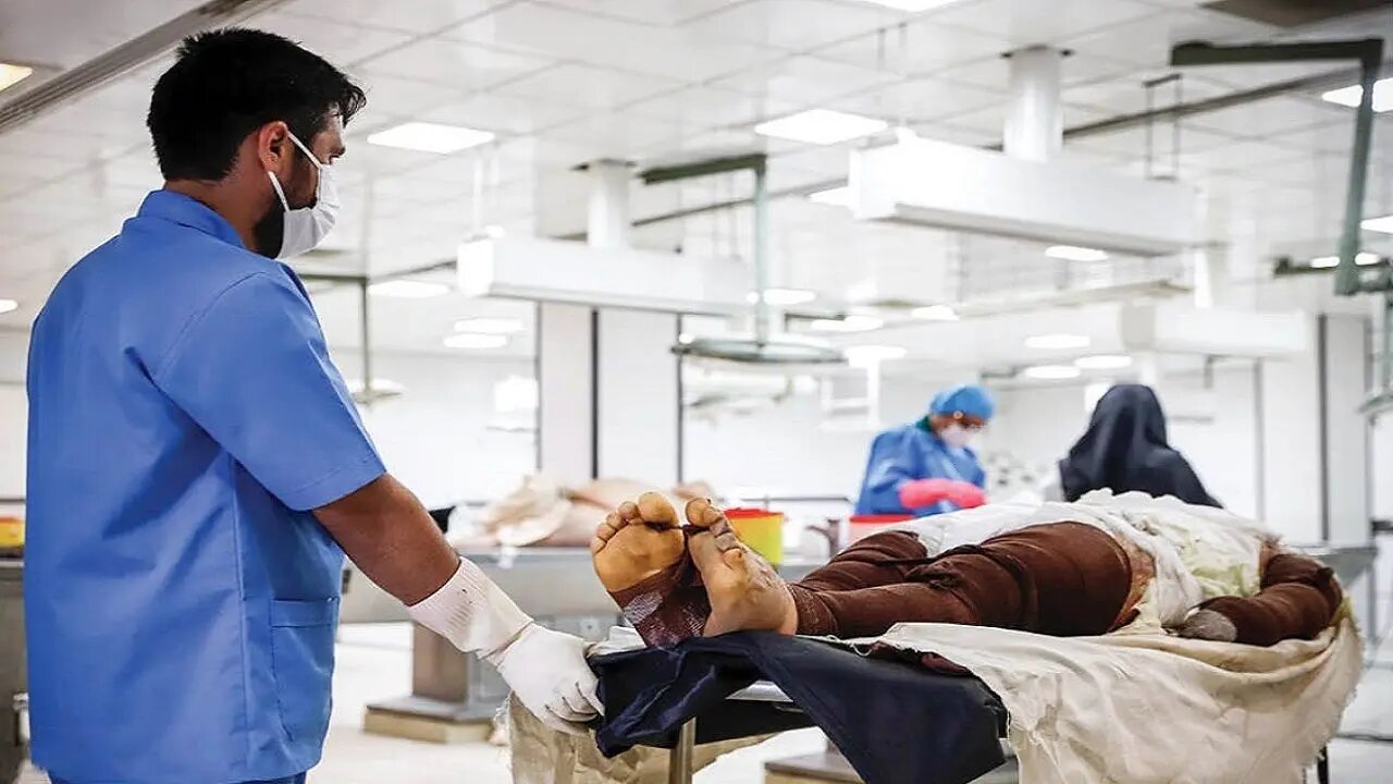 رئیس سازمان نظام پزشکی اعلام کرد: تا به امروز هیچ حکمی برای همکارانمان در قزوین صادر نشده است؛ جزئیات این موضوع چیست؟ رئیس سازمان نظام پزشکی اعلام کرد: تا به امروز هیچ حکمی برای همکارانمان در قزوین صادر نشده است؛ جزئیات این موضوع چیست؟