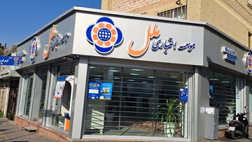 بازداشت مدیرعامل سابق موسسه ملل تایید شد