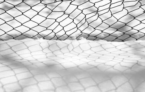 مجموعه عکسهای عباس کیارستمی