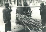 عکس‌/ آخرین هیزم‌فروشان تهران